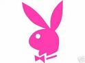Playboy Rose
